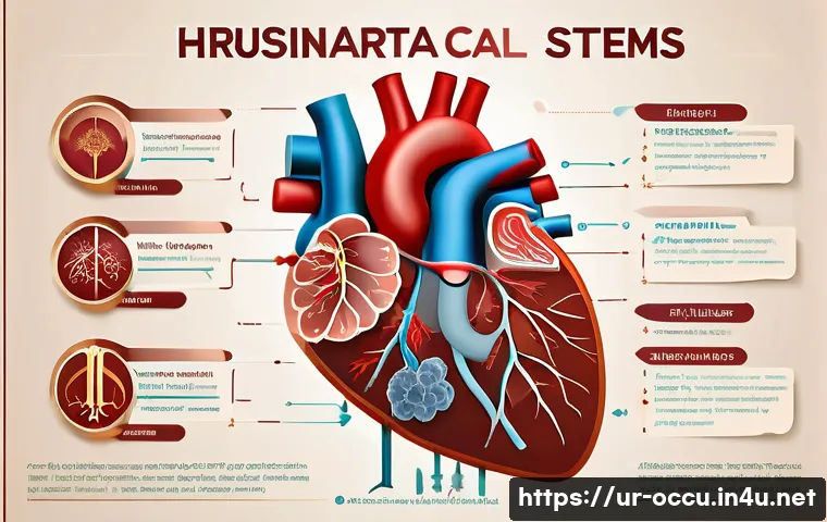 응급구조사 시험 과목 관련 이미지 1